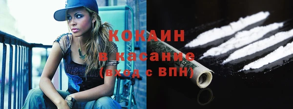ГАЛЛЮЦИНОГЕННЫЕ ГРИБЫ Осинники