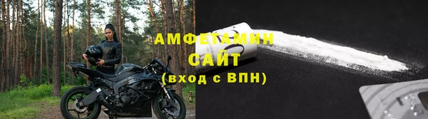 ГАЛЛЮЦИНОГЕННЫЕ ГРИБЫ Осинники