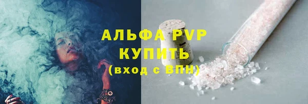 амф Пестово