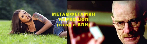 ГАЛЛЮЦИНОГЕННЫЕ ГРИБЫ Осинники