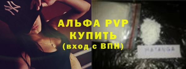 ГАЛЛЮЦИНОГЕННЫЕ ГРИБЫ Осинники