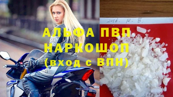 ГАЛЛЮЦИНОГЕННЫЕ ГРИБЫ Осинники