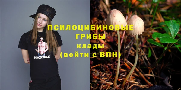 ГАЛЛЮЦИНОГЕННЫЕ ГРИБЫ Осинники